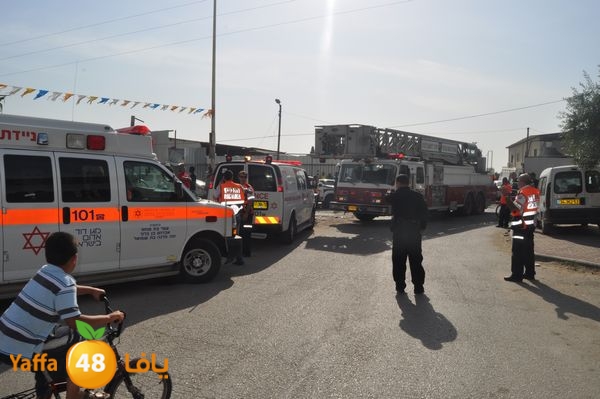 fireludkartoonmasna34 (40).JPG